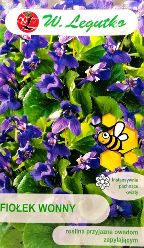 Sweet Violet Seeds